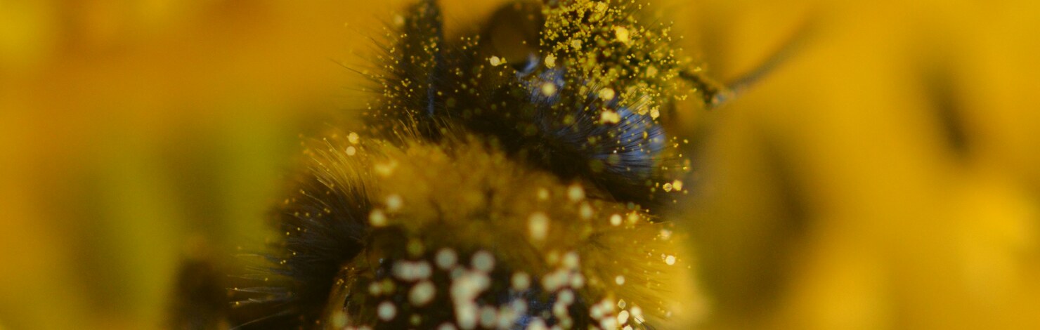 Teaser Bild